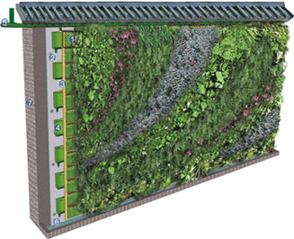 植物墻構造圖
